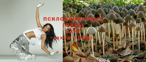 MDMA Белокуриха