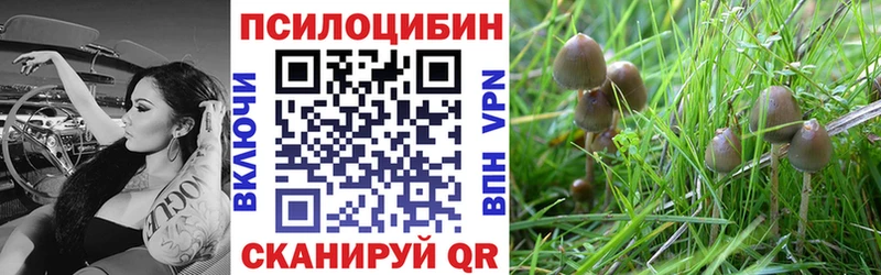 Псилоцибиновые грибы прущие грибы  наркошоп  Янаул 